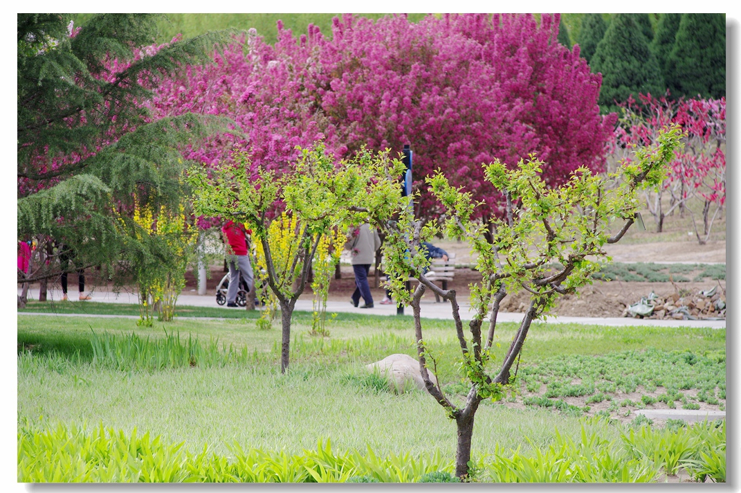 生机勃勃万物复苏