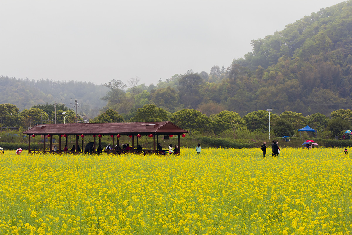 萧山红山村图片