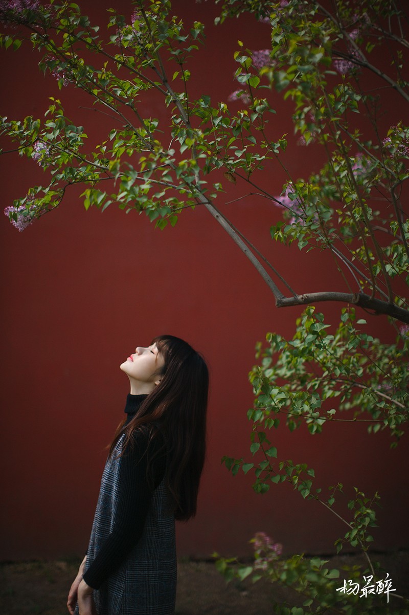 景山西街伍拾號——杨最醉