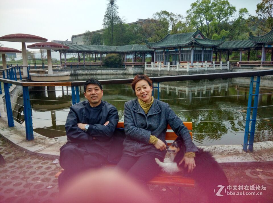 这些是手机拍的感觉还好，现在的手机拍照也不错的！