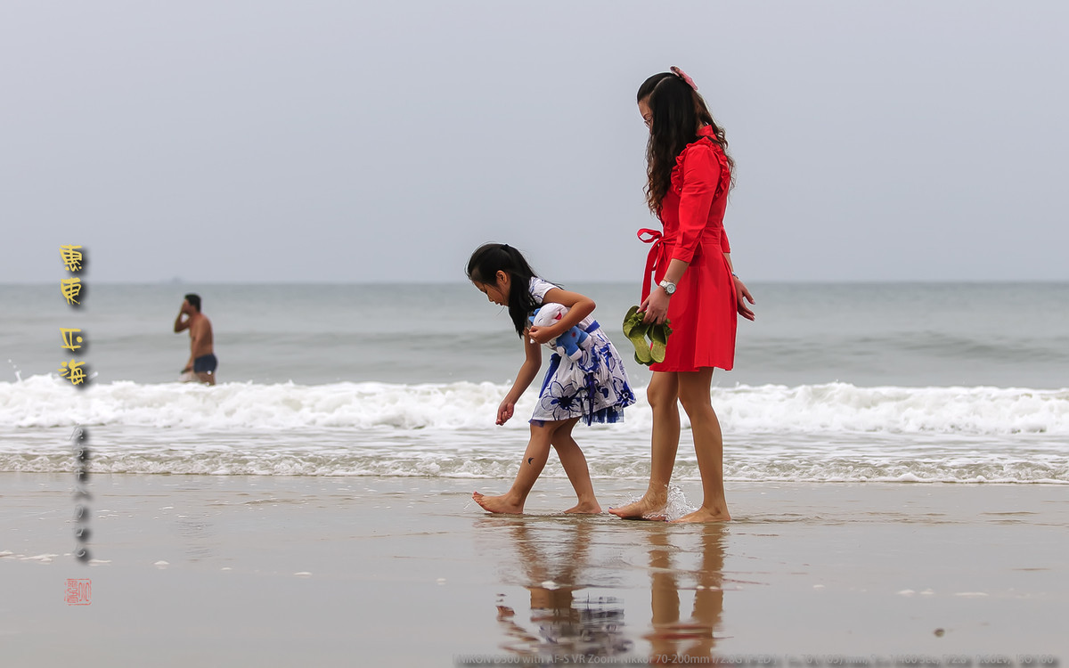 长趾滨鹬 - 惠州平海