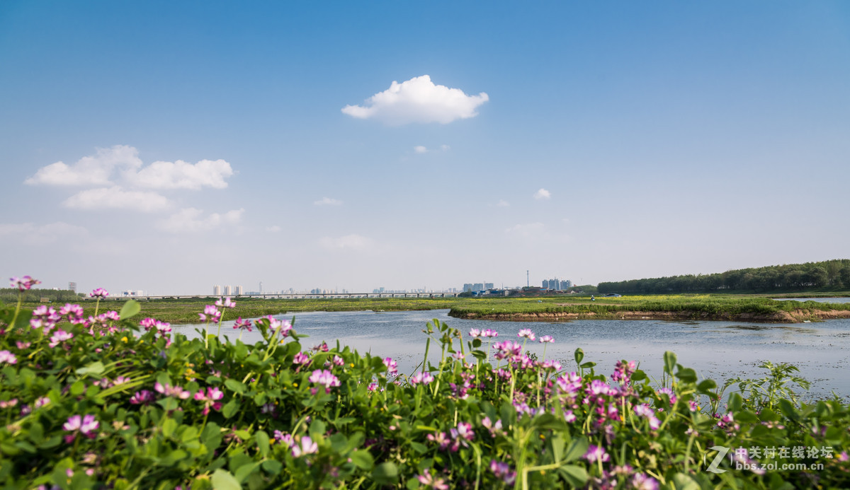 府河湿地休闲踏青好地方
