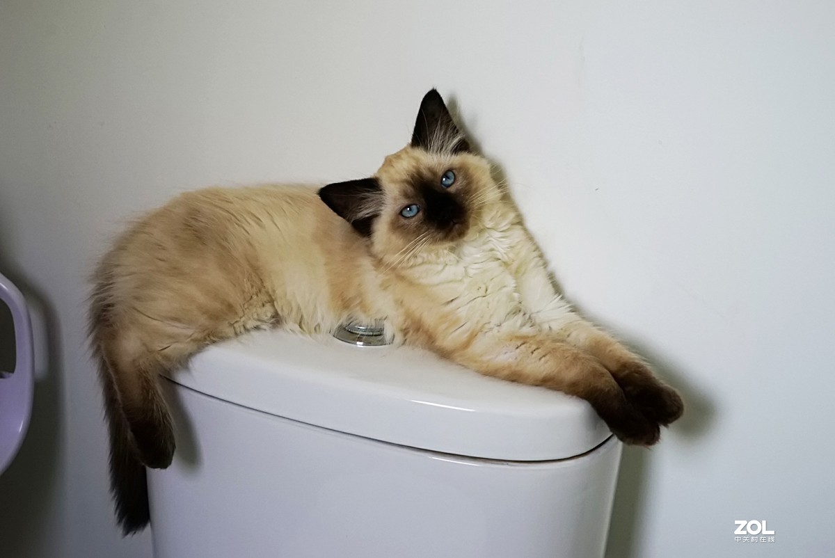 她的名字叫阿缇娜