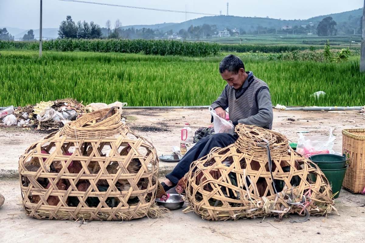 云南楚雄禄丰碧城镇赶街