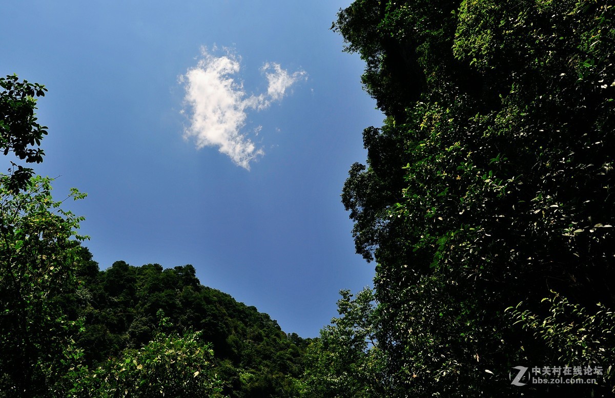烈日当顶拍山耍，光线太硬没办法。