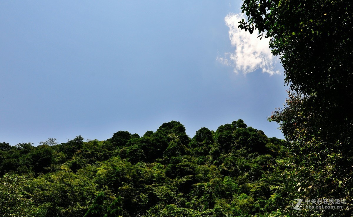 烈日当顶拍山耍，光线太硬没办法。