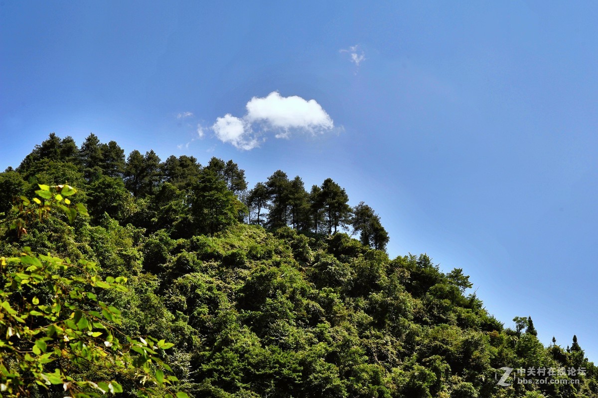 烈日当顶拍山耍，光线太硬没办法。
