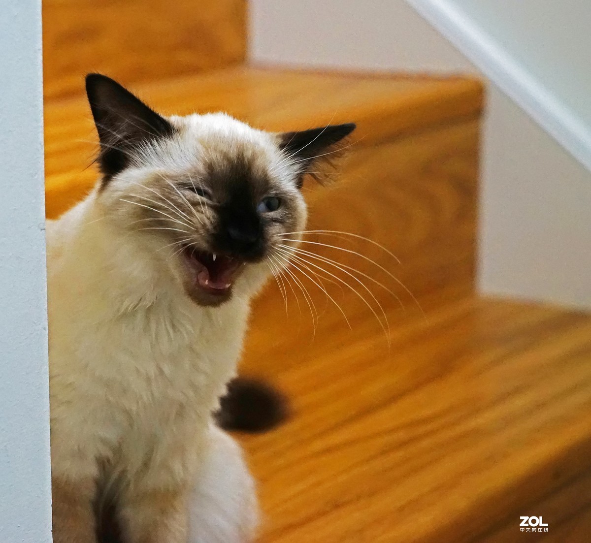 她的名字叫阿缇娜