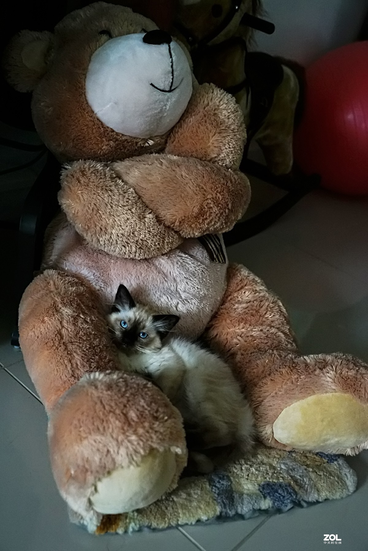 她的名字叫阿缇娜