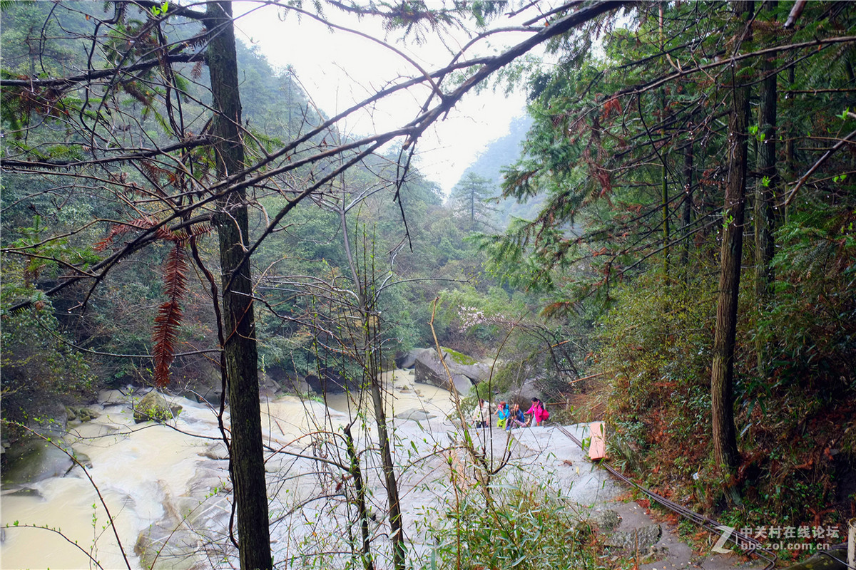 参加户外活动---平江福寿山随拍(阴雨天)