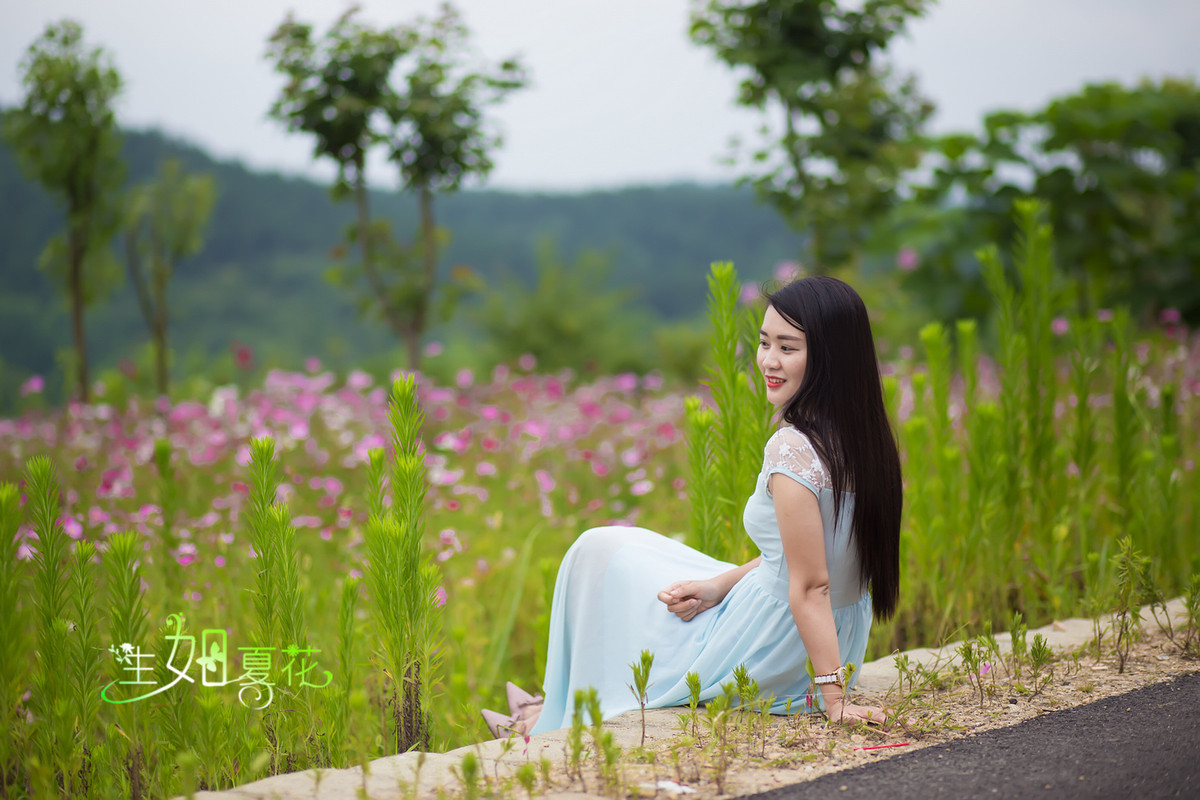茶道肖像系列—— 公路．夏影