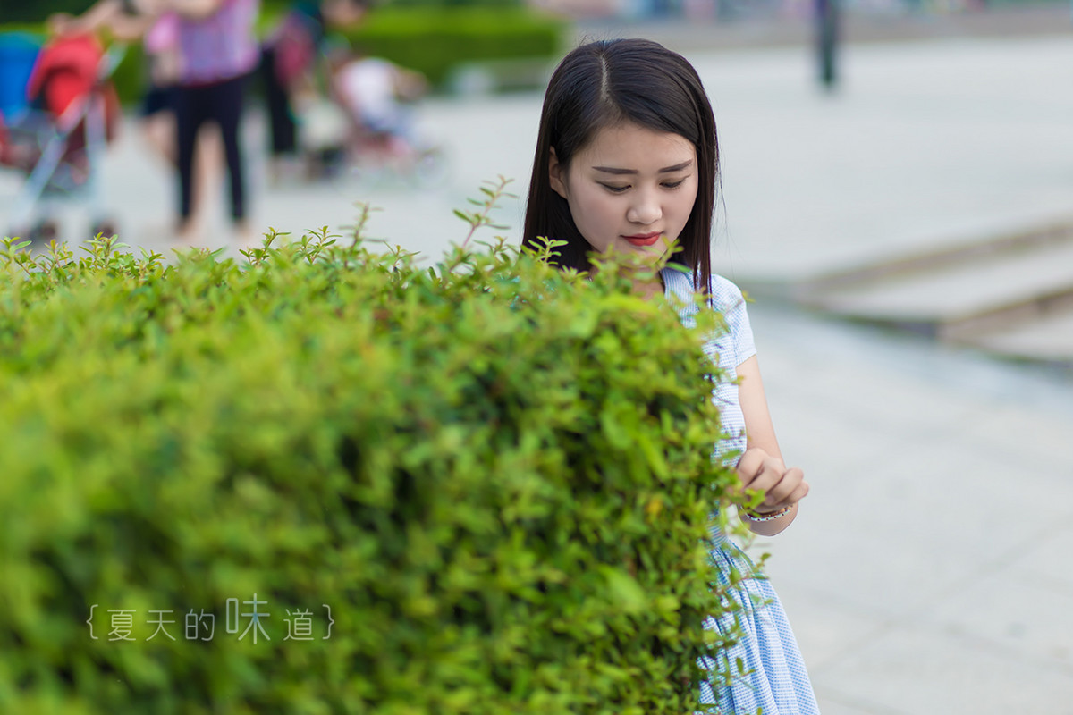 茶道肖像系列—— 公路．夏影