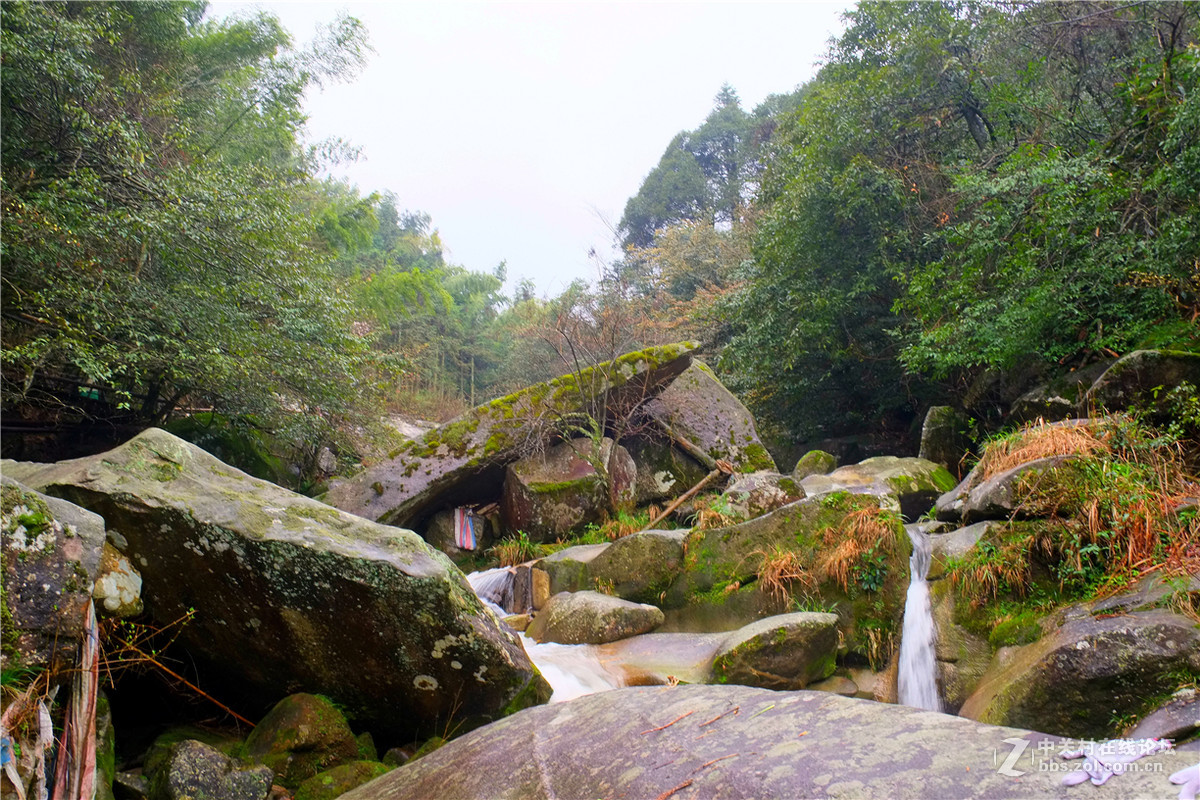 平江福寿山森林公园图片