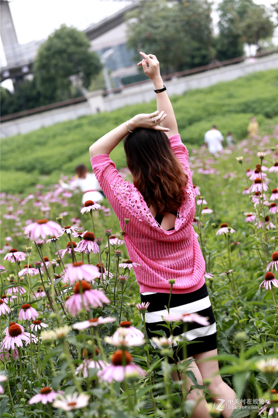 红衣妹子花海