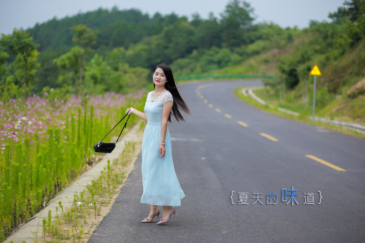 茶道肖像系列—— 公路．夏影