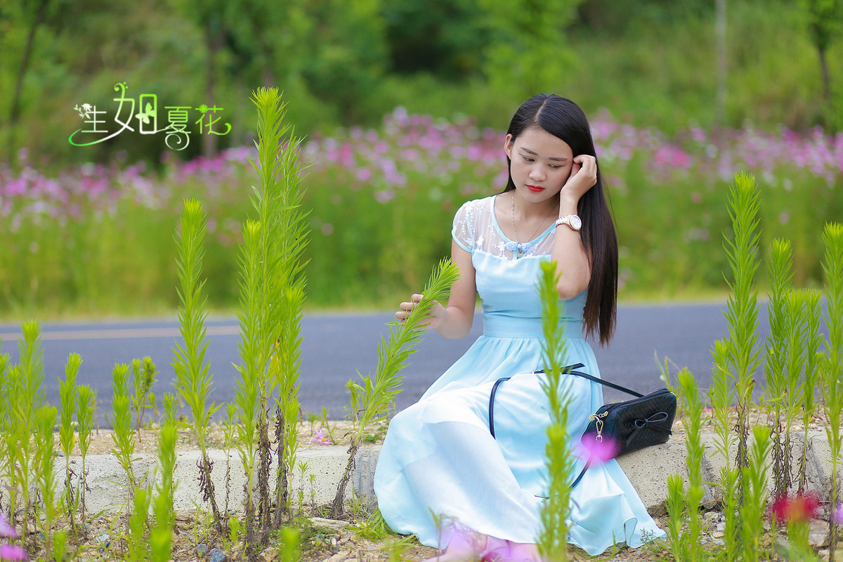 茶道肖像系列—— 公路．夏影