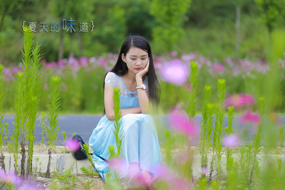 茶道肖像系列—— 公路．夏影