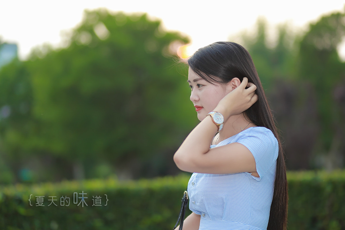 茶道肖像系列—— 公路．夏影