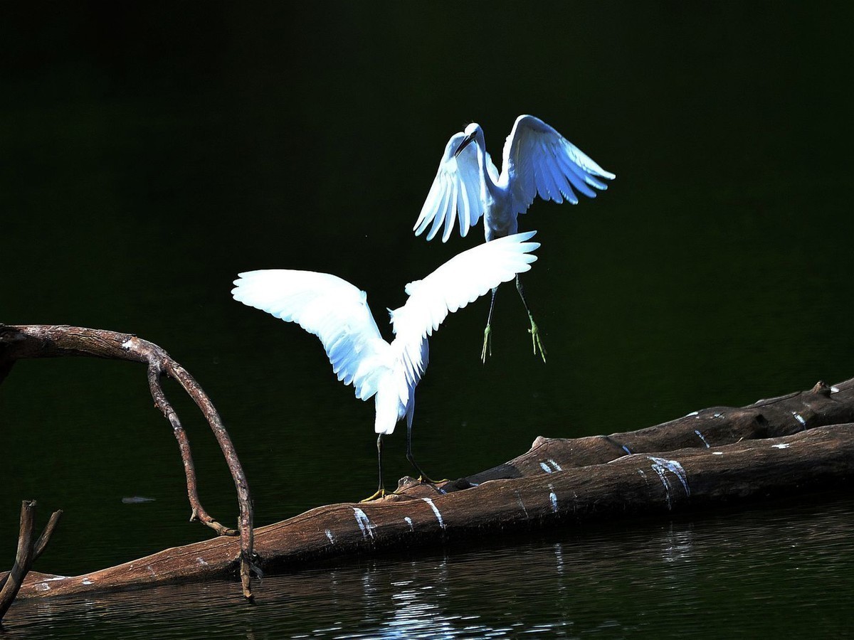 我的舞姿漂亮吗