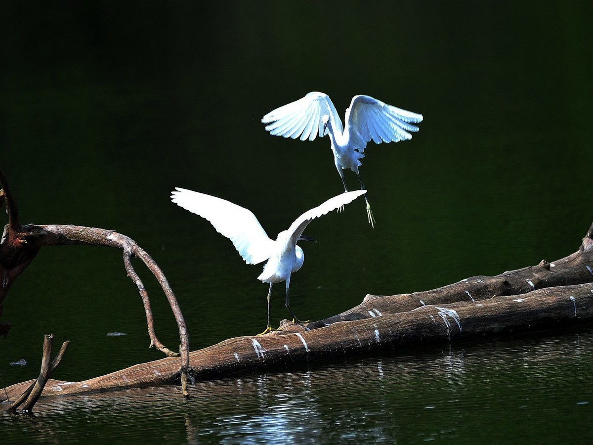 我的舞姿漂亮吗