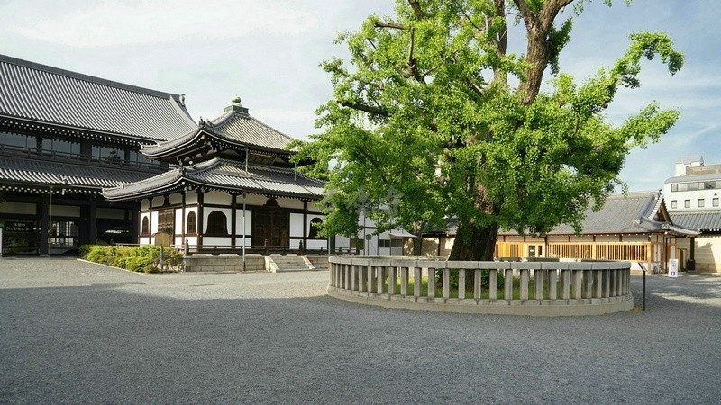 令和元年の初夏系列（七）西本愿寺