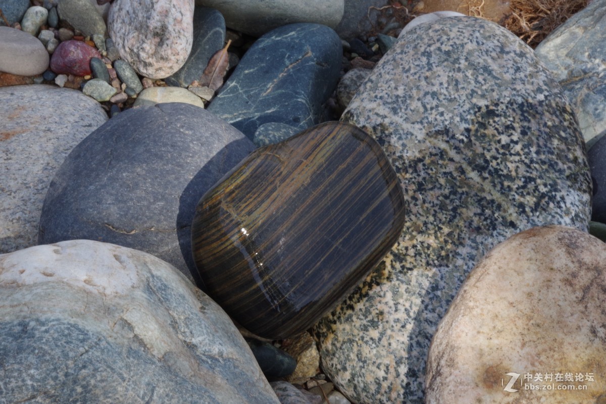 黄河石553出片河边随拍