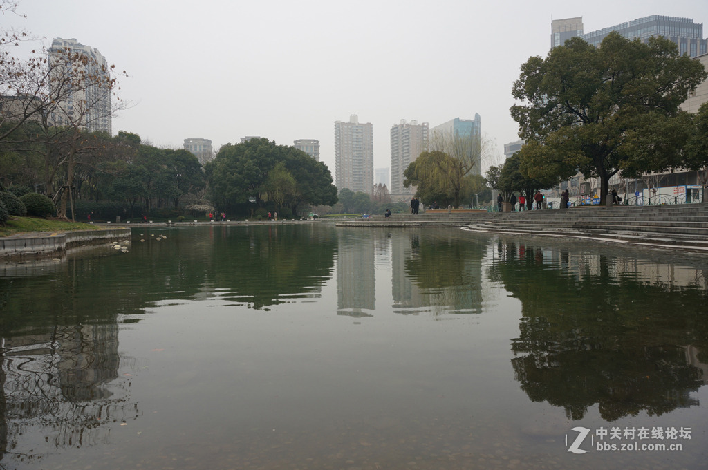 太平桥绿地随拍