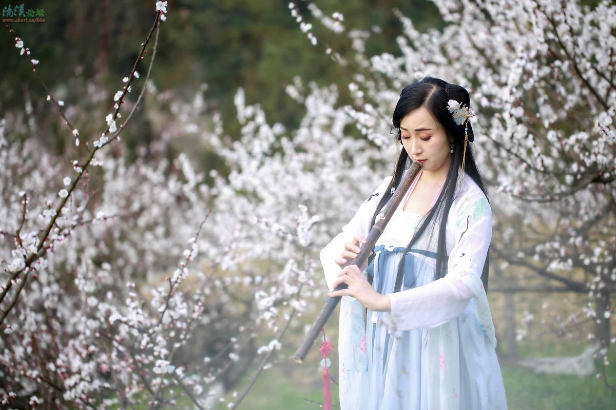 葬花吟（红楼梦）