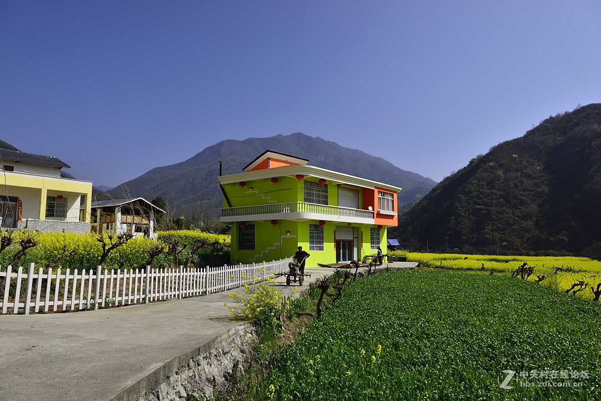 平武高村乡看花