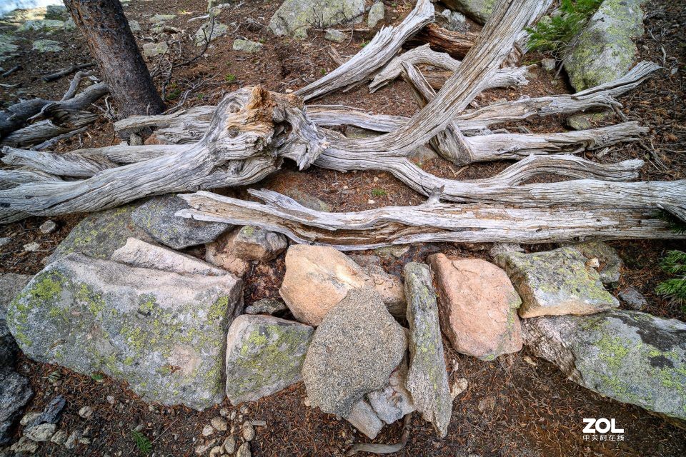 老蛙10-18mm F4.5-5.6变焦镜头国外评测