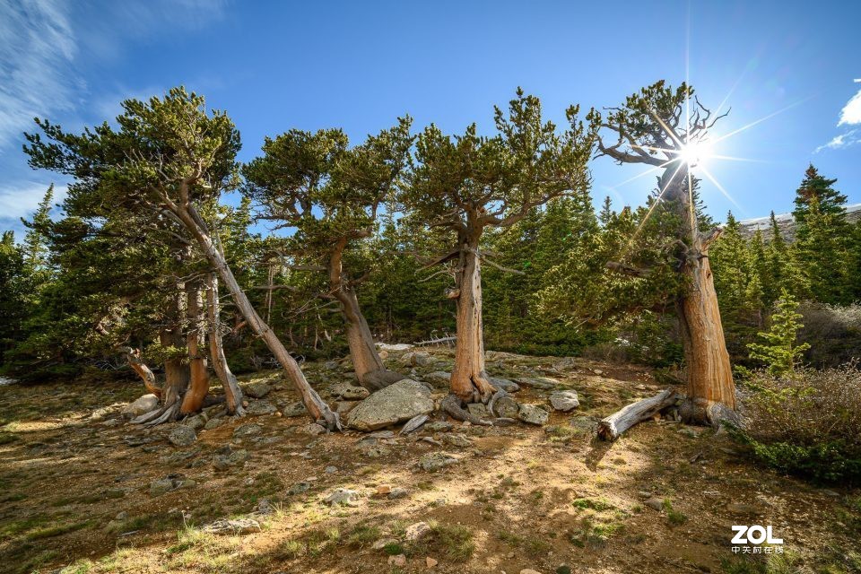 老蛙10-18mm F4.5-5.6变焦镜头国外评测