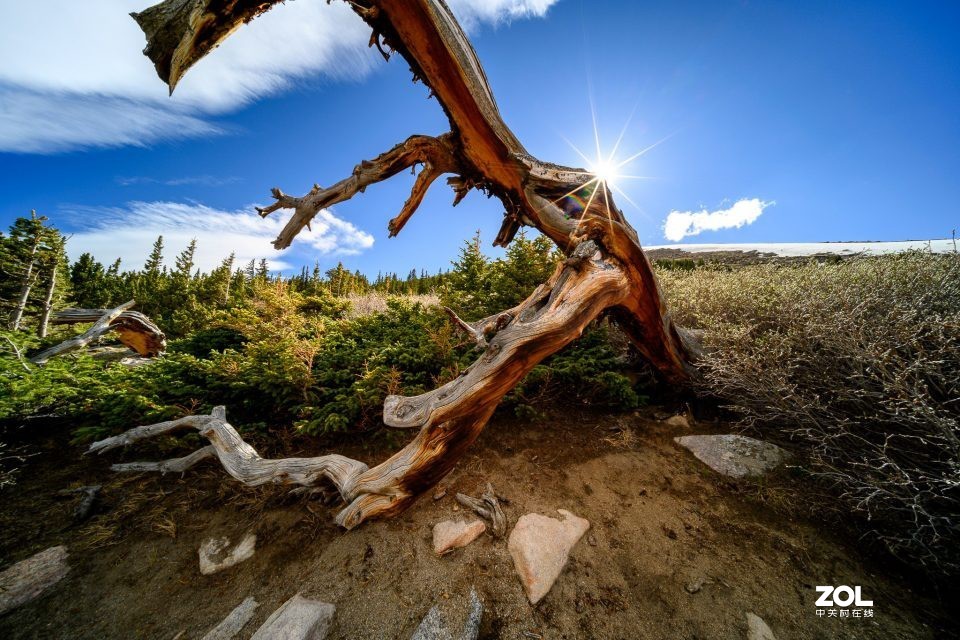 老蛙10-18mm F4.5-5.6变焦镜头国外评测