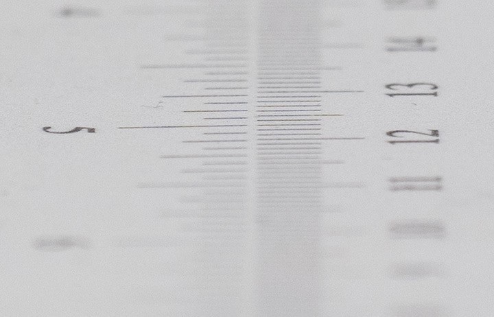 海外评测：老蛙 100mm F2.8 2x Macro APO 评测及测试报告