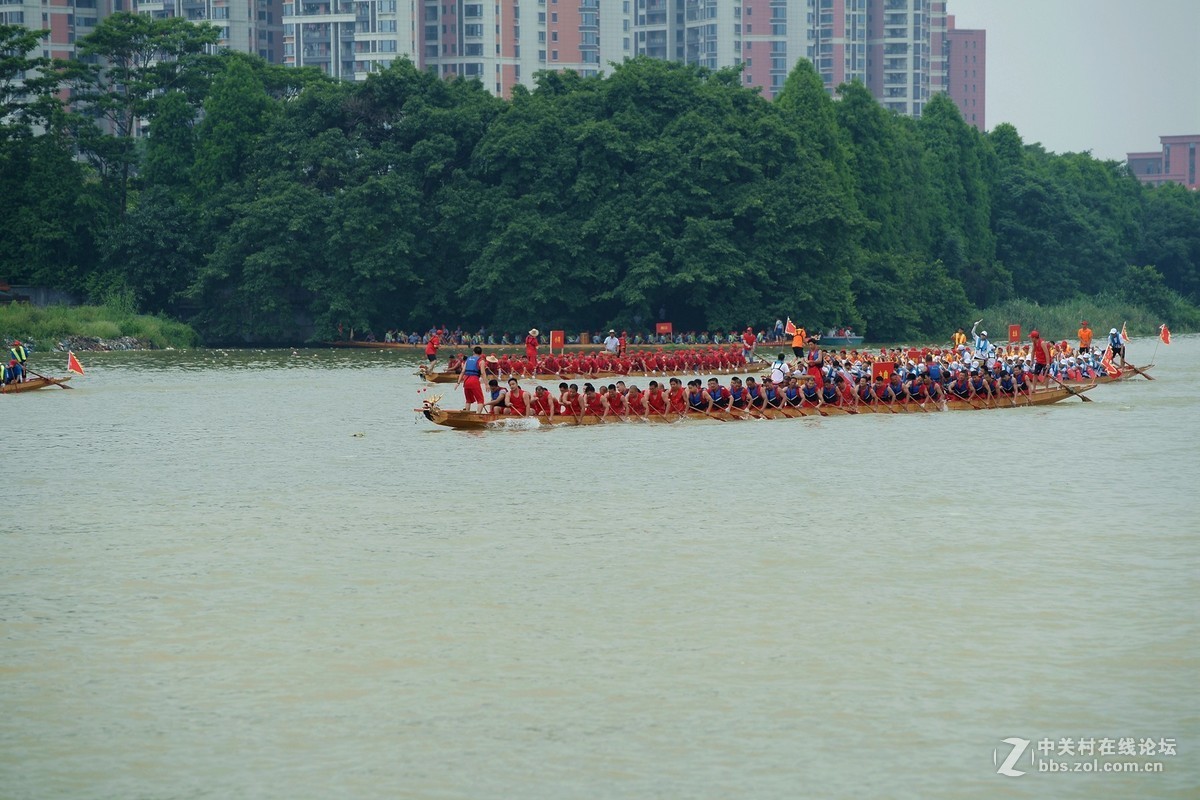 龙舟竞渡