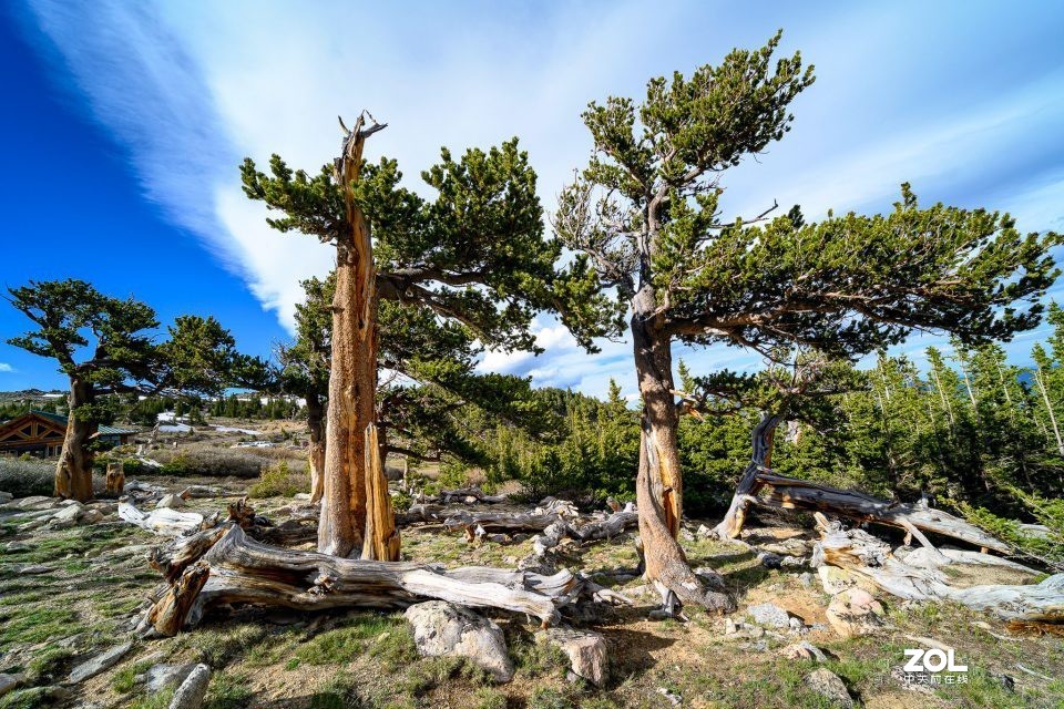 老蛙10-18mm F4.5-5.6变焦镜头国外评测