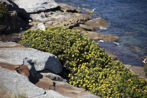 海外评测：老蛙 100mm F2.8 2x Macro APO 评测及测试报告