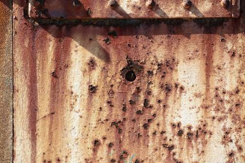 海外评测：老蛙 100mm F2.8 2x Macro APO 评测及测试报告