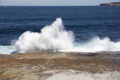 海外评测：老蛙 100mm F2.8 2x Macro APO 评测及测试报告
