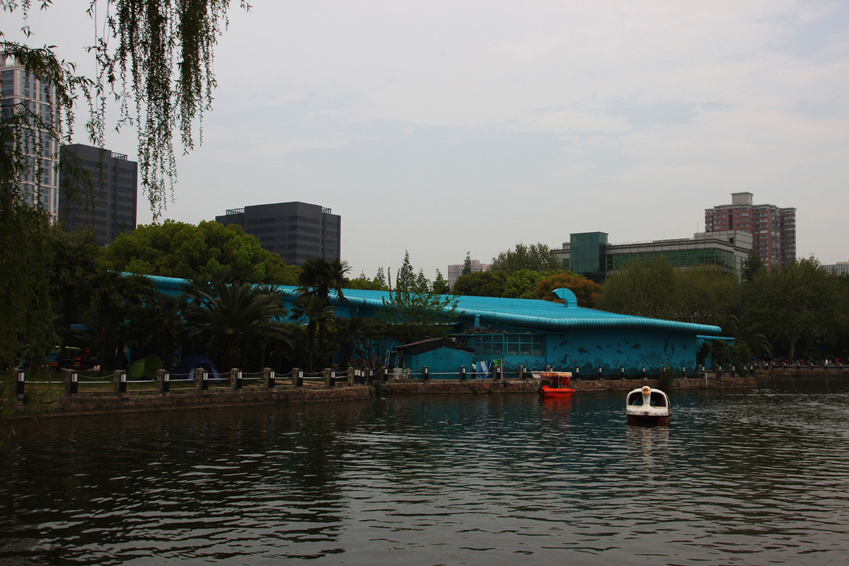 适马 18 200  micro os  （三代）公园中试拍的照片