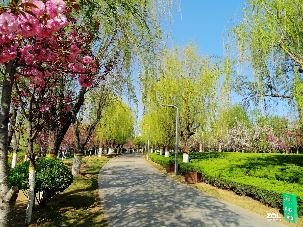 走走拍拍（2019年4月14日-3）