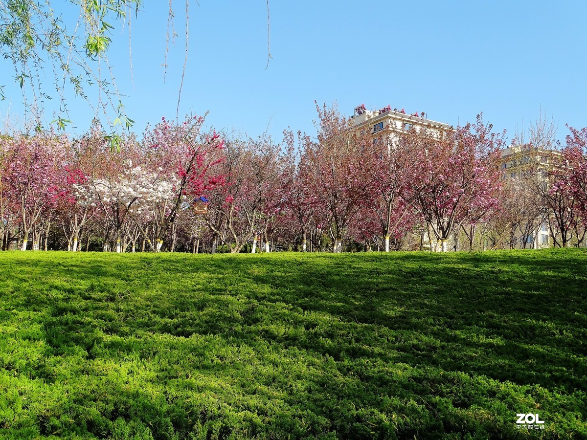 走走拍拍（2019年4月14日-3）