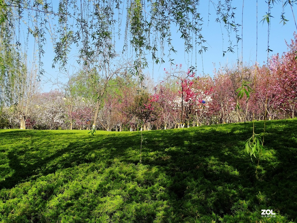 走走拍拍（2019年4月14日-3）