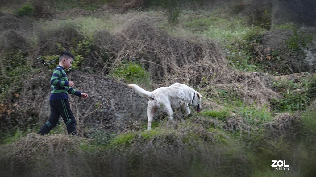 【原创】大王叫我去巡山（OPPO手机）