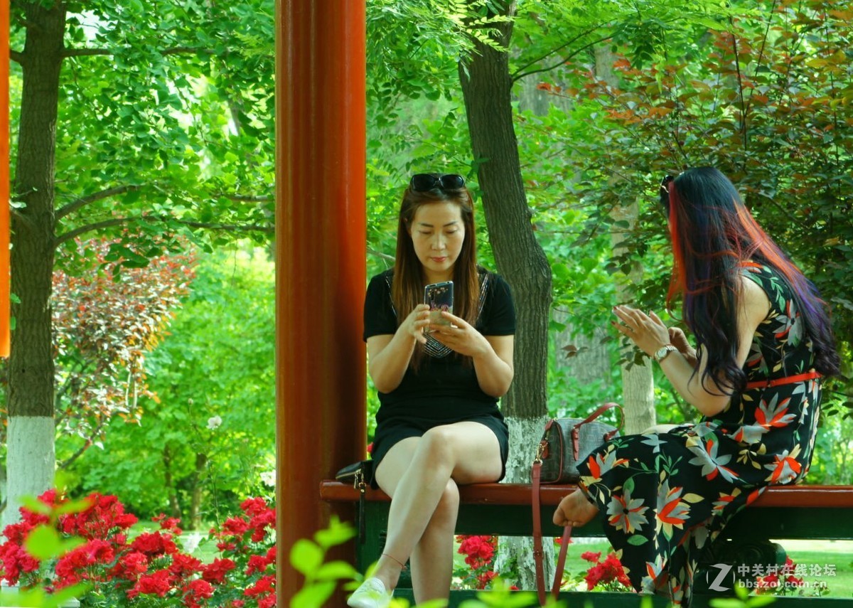 索尼A580+美能达75——300老头