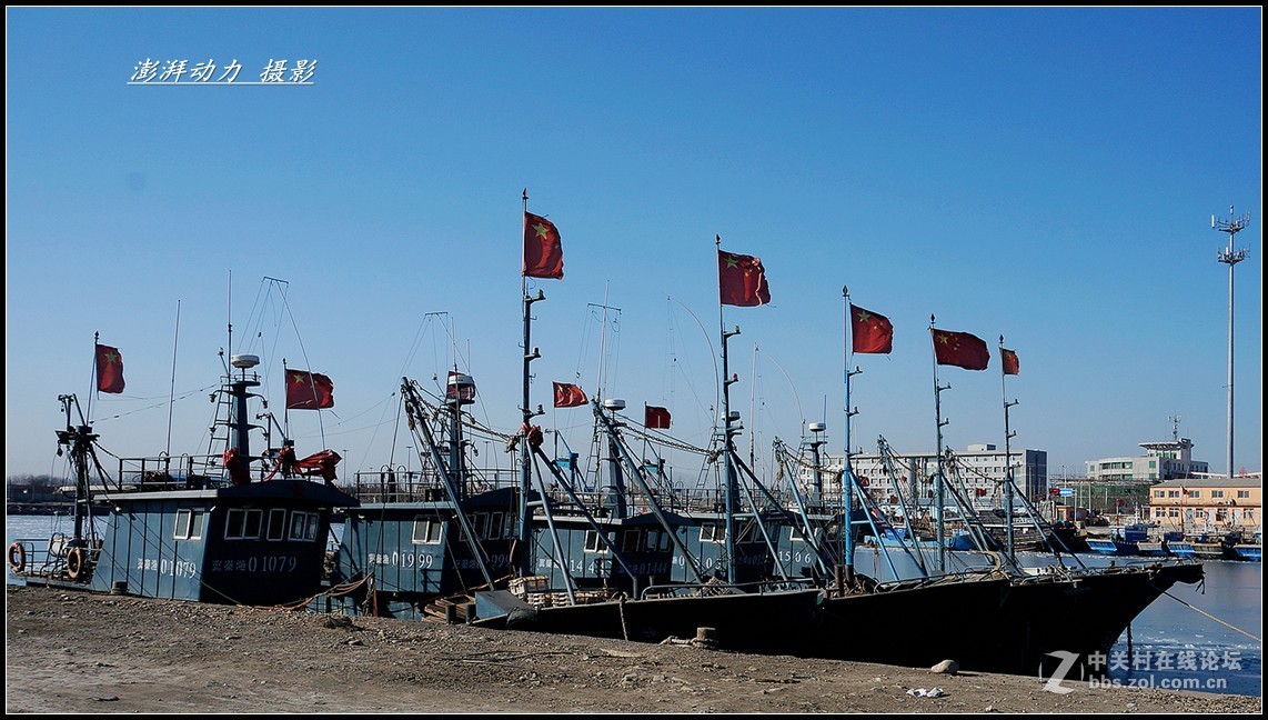 渤海休渔期渔港---秦皇岛（二）