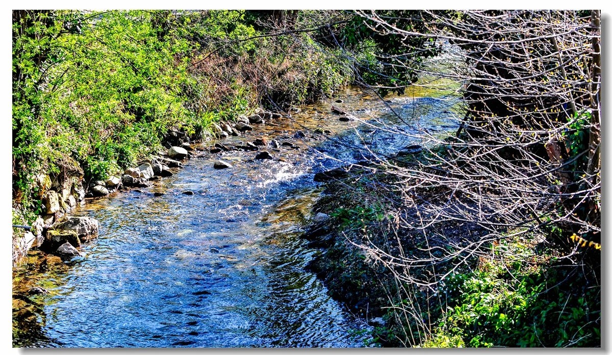 春色献友--祝兄弟星空(中国)师友安康平安!!!