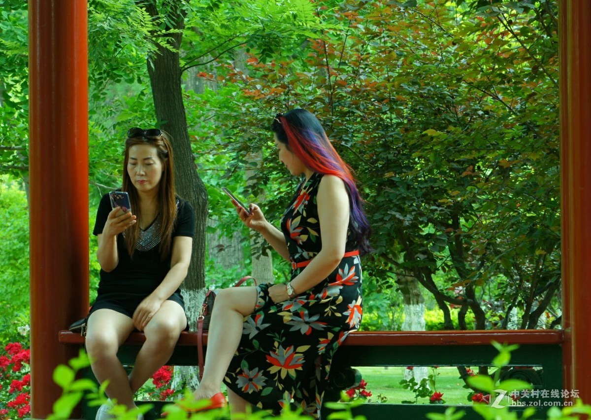 索尼A580+美能达75——300老头