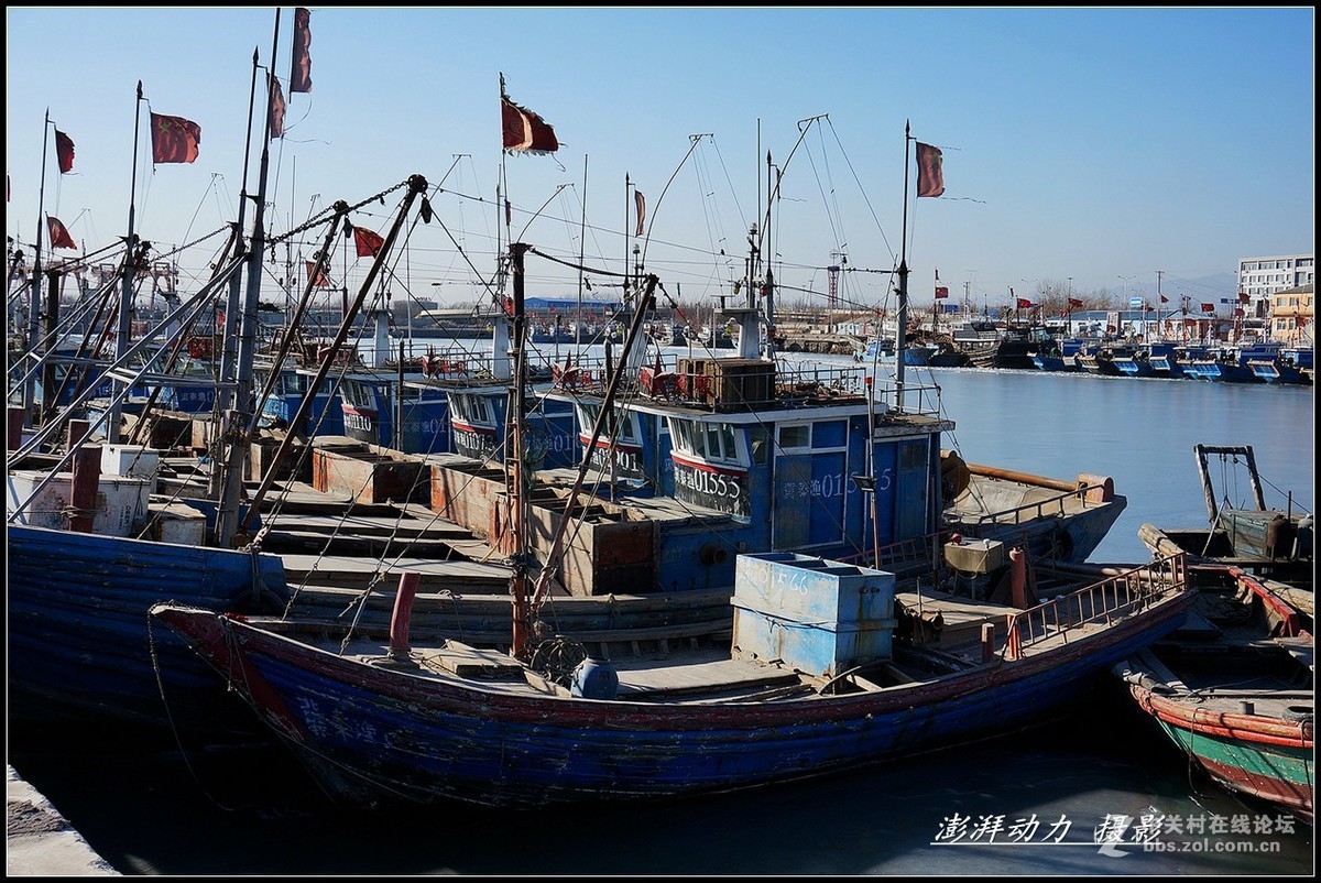 渤海休渔期渔港---秦皇岛（二）