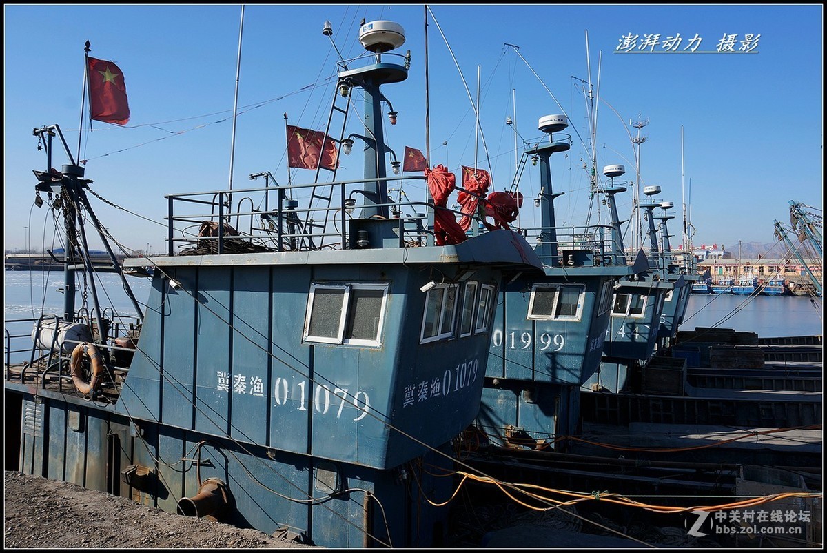 渤海休渔期渔港---秦皇岛（二）