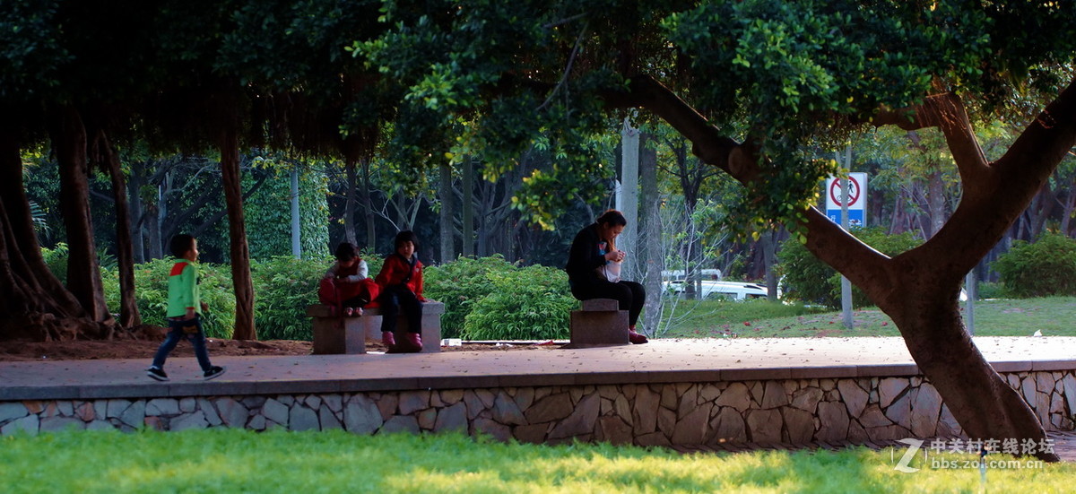 厦门忠仑公园随拍